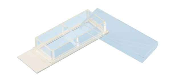 Chambres de culture cellulaire x-well, 2 puits, sur lame lumox®, cadre amovible