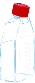 Zellkulturflasche, T-75, Oberfläche: Standard, 2-Positionen-Schraubkappe