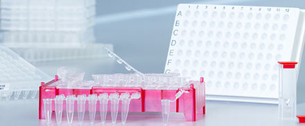 im Vordergurnd links eine Basisstation in der Farbe rot befüllt mit Reagiergefäßen, rechts eine UV-Küvette stehend, Hintergrund rechts eine Vollrand PCR-Platte stehend, Hintergrund links weitere PCR-Platten ohne Rand aufeinander gestapelt