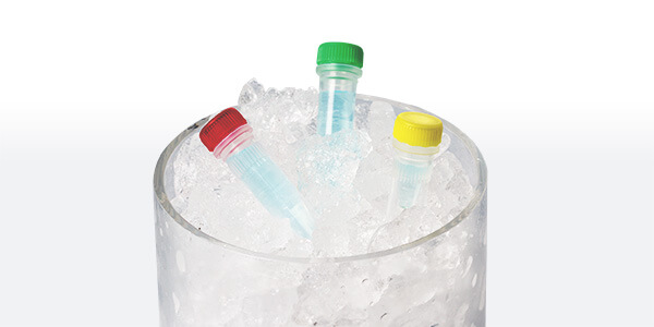 Behälter gefüllt mit Eis, darin 3 gefüllte Probenröhren