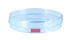 Placa de Petri, (ØxA): 100 x 20 mm, superfície: Padrão