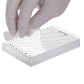 Lámina PCR, libre DNasa/RNasa, material: PL, transparente