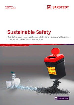 Sustainable Safety