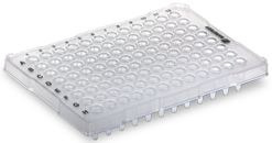 Placa PCR medio faldón, 96 pocillo, transparente, Perfil alto, 200 µl, PCR Performance Tested, PP