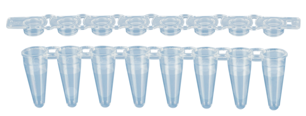Tira 8 recipientes PCR, 100 µl, PCR Performance Tested, transparente, PP, tapón plano
