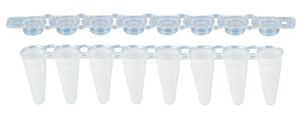 PCR strip of 8, 100 µl, PCR Performance Tested, white, PP, flat cap