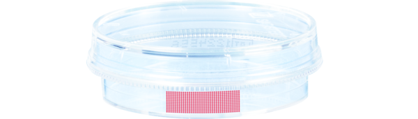 Tissue culture dish, (ØxH): 35 x 10 mm, surface: Standard