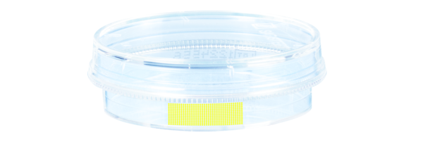 Tissue culture dish, (ØxH): 35 x 10 mm, surface: Cell+