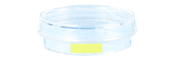 Tissue culture dish, (ØxH): 35 x 10 mm, surface: Cell+