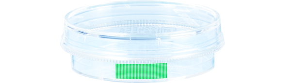 Boîte de culture cellulaire, (Ø x h) : 35 x 10 mm, surface : Suspension