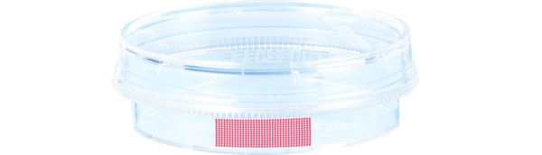 Boîte de culture cellulaire, (Ø x h) : 35 x 10 mm, surface : Standard