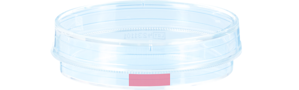 Tissue culture dish, (ØxH): 60 x 15 mm, surface: Standard