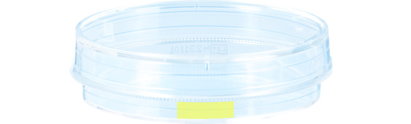 Tissue culture dish, (ØxH): 60 x 15 mm, surface: Cell+