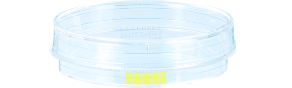 Tissue culture dish, (ØxH): 60 x 15 mm, surface: Cell+