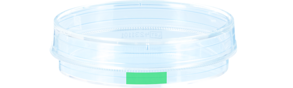 Boîte de culture cellulaire, (Ø x h) : 60 x 15 mm, surface : Suspension