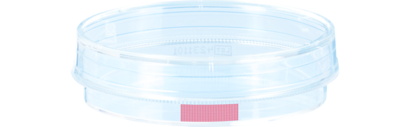 Boîte de culture cellulaire, (Ø x h) : 60 x 15 mm, surface : Standard