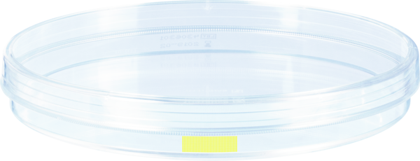 Zellkulturschale, (ØxH): 150 x 20 mm, Oberfläche: Cell+