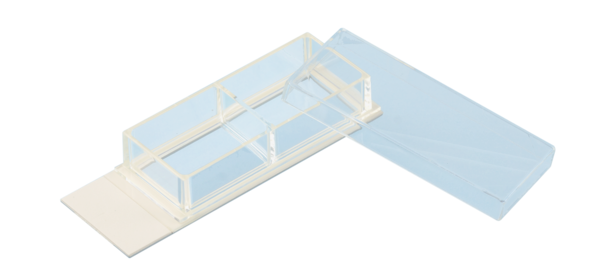 x-well cell culture chamber, 2 wells, on lumox® slide, removable frame