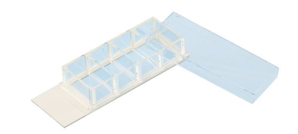 Chambres de culture cellulaire x-well, 4 puits, sur lame lumox®, cadre amovible