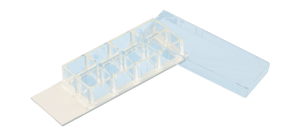 Chambres de culture cellulaire x-well, 8 puits, sur lame lumox®, cadre amovible