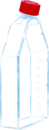 Zellkulturflasche, T-175, Oberfläche: Standard, Filterkappe