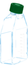 Zellkulturflasche, T-75, Oberfläche: Suspension, Filterkappe