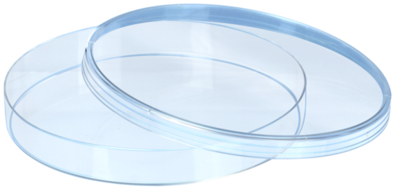 Petri dish, 150 x 20 mm, transparent, with ventilation cams