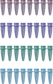 Cadeia PCR de 8 tubos, 200 µl, PCR Performance Tested, cores variadas, PP
