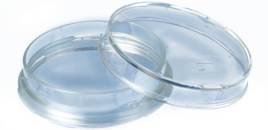 lumox® dish 50, Placa de cultivo celular de, con fondo de lámina, Ø: 50 mm, células de suspensión