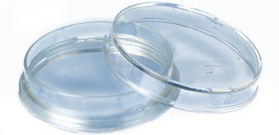 lumox® dish 50, Boîte de culture cellulaire, avec film de fond, Ø: 50 mm, cellules de suspension