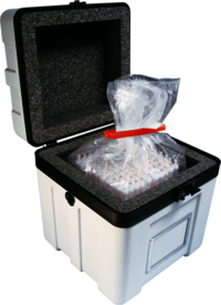 Maletín de transporte B 17, con borde de apoyo lateral para racks