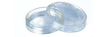 lumox® dish 35, Zellkulturschale, mit Folienboden, Ø: 35 mm, Suspensionszellen