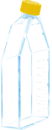 Zellkulturflasche, T-175, Oberfläche: Cell+, Filterkappe