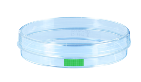Placa de Petri, (ØxA): 100 x 20 mm, superfície: Suspensão
