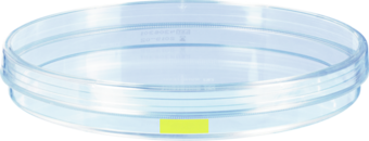 Zellkulturschale, (ØxH): 150 x 20 mm, Oberfläche: Cell+