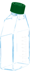 Zellkulturflasche, T-75, Oberfläche: Suspension, 2-Positionen-Schraubkappe