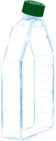Zellkulturflasche, T-175, Oberfläche: Suspension, 2-Positionen-Schraubkappe