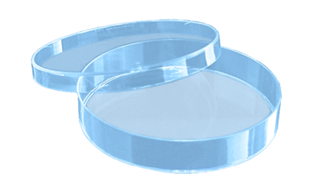Placa de Petri, 92 x 16 mm, transparente, con relieves de aireación