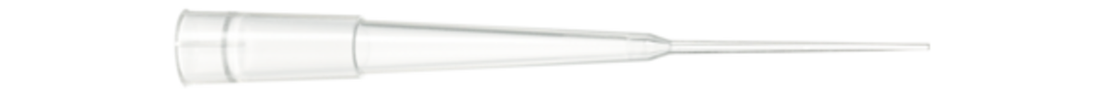 Pointe de pipette de chargement de gel, 200 µl, transparent, 96 pièce(s)/boîte