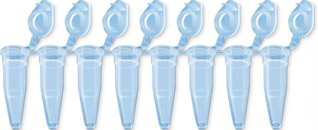 PCR strip of 8, 200 µl, PCR Performance Tested, transparent, PP, flat cap