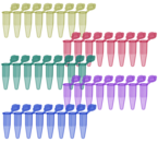 PCR strip of 8, PCR Performance Tested, colour mix, PP, round cap