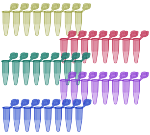 PCR strip of 8, PCR Performance Tested, colour mix, PP, round cap
