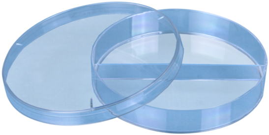Placa de Petri, 92 x 16 mm, transparente, dividida en 2 partes, con relieves de aireación