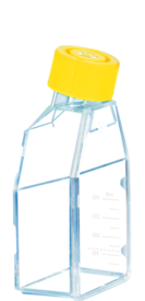 Zellkulturflasche, T-25, Oberfläche: Cell+, Filterkappe