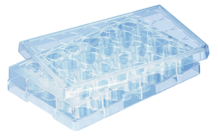 Cell culture plate, 24 well, surface: BIOFLOAT™, flat base
