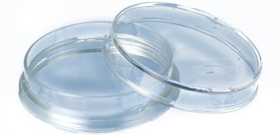 lumox® dish 50, Tissue culture dish, with foil base, Ø: 50 mm, suspension cells