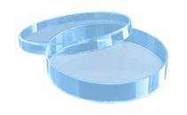 Petri dish, 92 x 16 mm, transparent, with ventilation cams