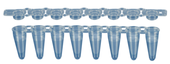 PCR strip of 8, 100 µl, PCR Performance Tested, transparent, PP, flat cap