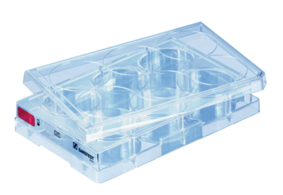 Placa de cultivo celular, 6 pocillos, superficie: Estándar, fondo plano