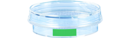 Tissue culture dish, (ØxH): 35 x 10 mm, surface: Suspension